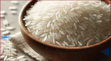 سعر الأرز.. تحديث جديد لكيلو الأرز في السوق المصري اليوم